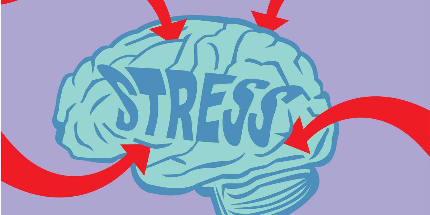This Is Your Skin on Stress
