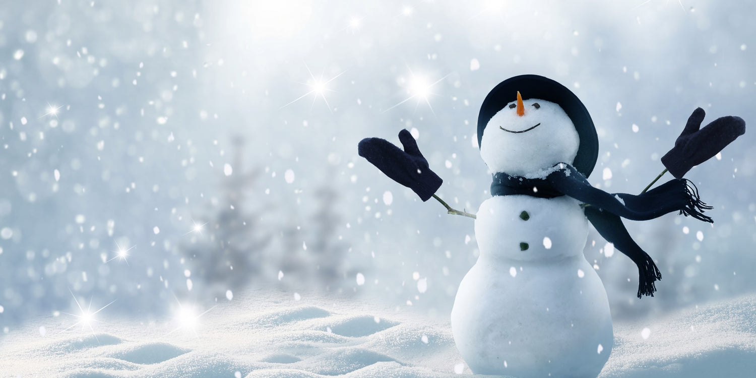 Holiday Gift Guide 2019